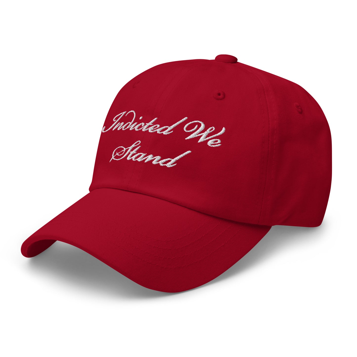 Indicted We Stand Hat